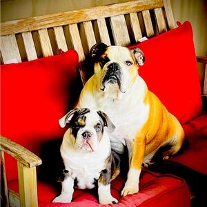 Meet your Posher, Avery